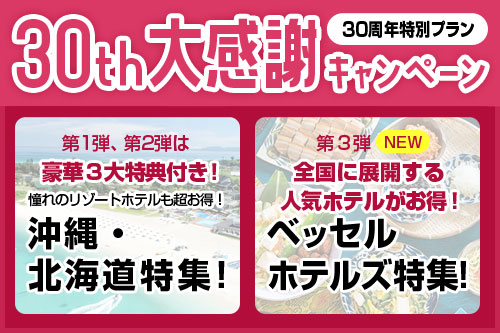 ニーズツアー30thAnniversary