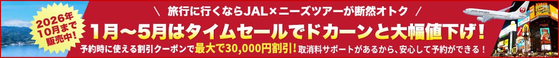 JAL タイムセール