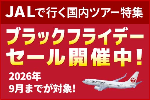 JALで行く沖縄ツアー！