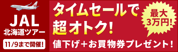 JAL国内ツアー特集