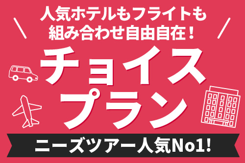 ニーズツアー一番人気。自由に選べるチョイスプラン