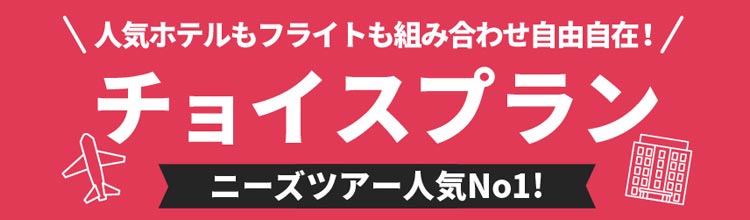 ニーズツアー一番人気。自由に選べるチョイスプラン