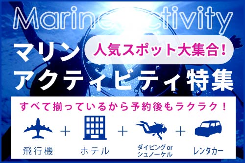 ニーズツアー、マリンアクティビティ特集