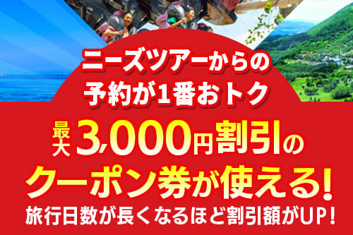 公式サイト予約限定ツアー