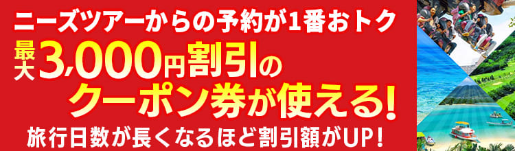 公式サイト限定ツアー特集