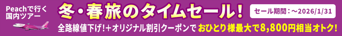【冬・春旅のタイムセール！】ピーチ（Peach）で行く格安国内ツアー・旅行｜格安旅行のニーズツアー