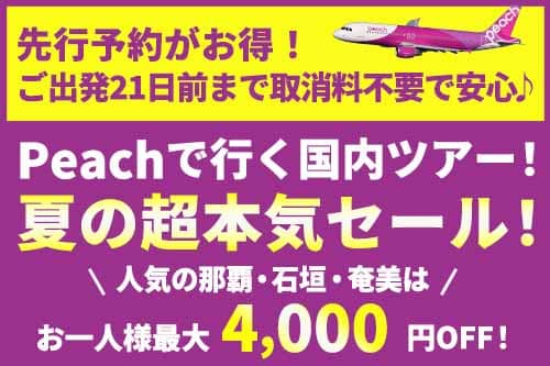 Peach行く沖縄ツアー