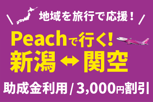 関西新潟助成金ツアー