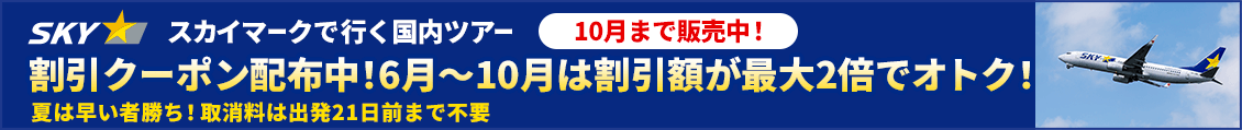 スカイマークで行く国内格安ツアー　新春初売りセール2026