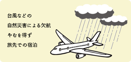 台風などの自然災害により欠航