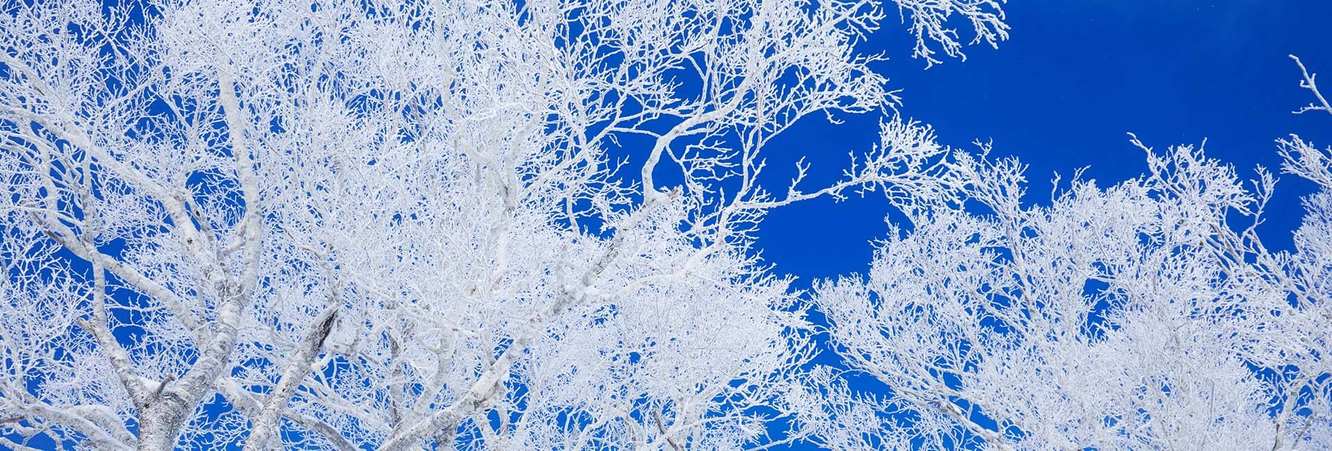 星野リゾート　トマムimage04