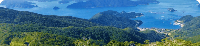奄美大島