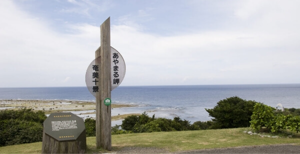 あやまる岬観光公園