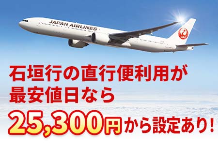 JAL往復直行便を確約