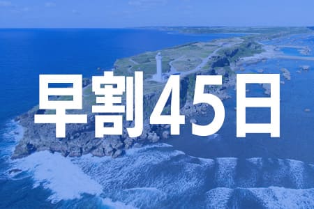 早割45日でオトク