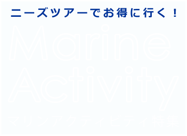 ニーズツアー・マリンアクティビティ特集