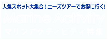 ニーズツアー・マリンアクティビティ特集