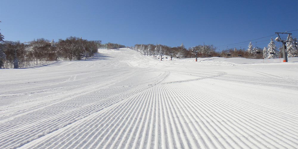 札幌国際