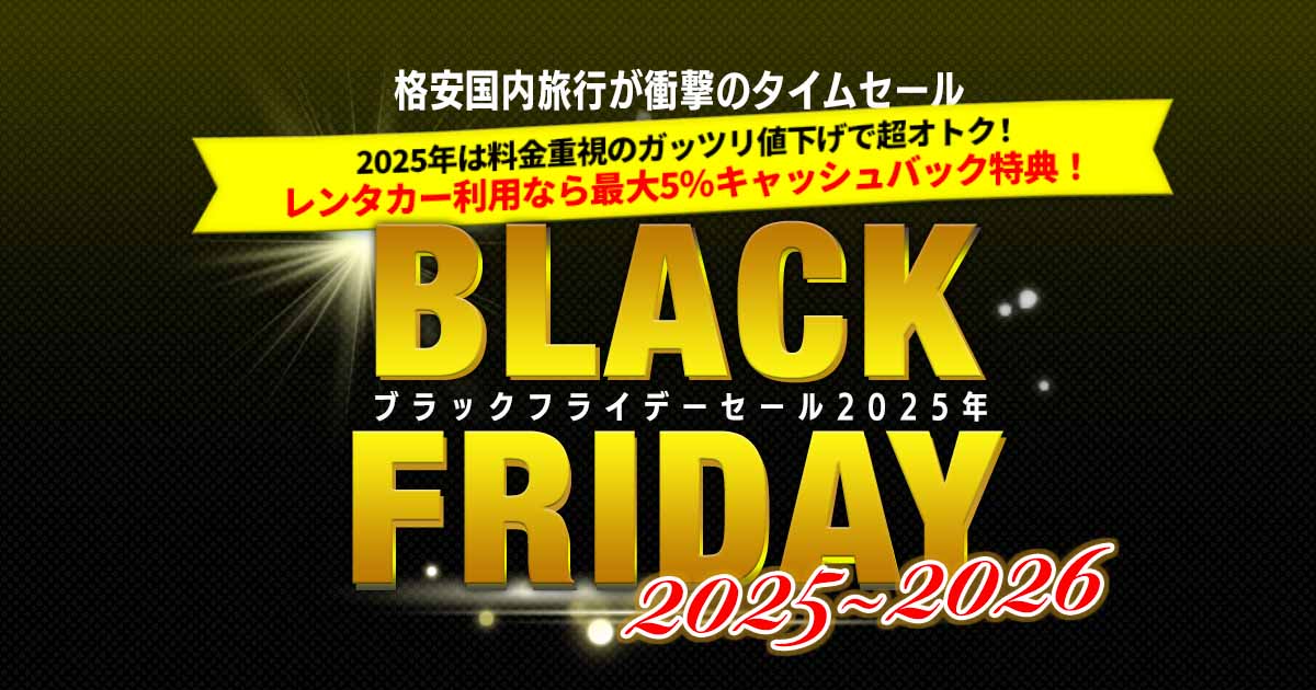 ブラックフライデー 2025 料金重視のガッツリ値下げで超オトク！｜格安