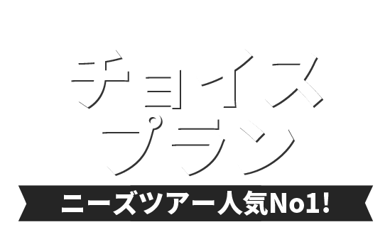 ニーズツアーNo１プランの選べるチョイスプランで全国へ！