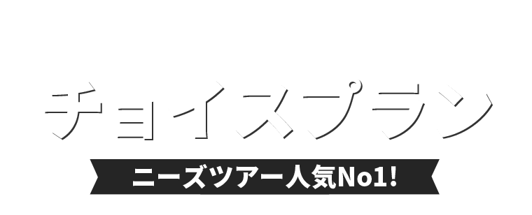 ニーズツアーNo１プランの選べるチョイスプランで全国へ！