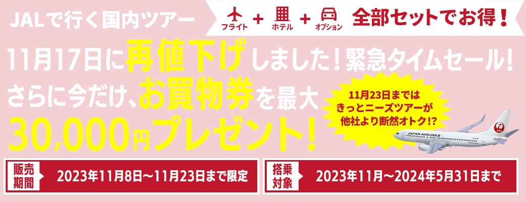 【2023年11月8日～11月23日までの15日間限定販売！】11月17日再値下げしました！緊急タイムセール☆さらに！最大30,000円分のお買物券プレゼントでダブルでお得♪