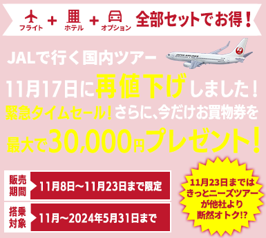 【2023年11月8日～11月23日までの15日間限定販売！】11月17日再値下げしました！緊急タイムセール☆さらに！最大30,000円分のお買物券プレゼントでダブルでお得♪