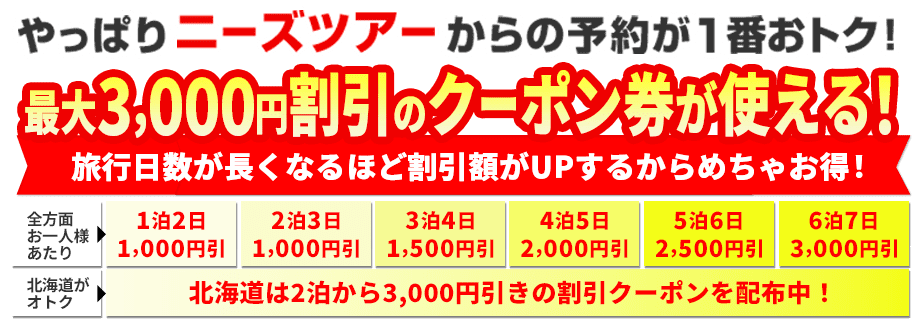 公式サイト予約限定ツアー