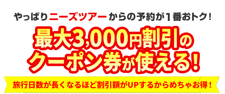 公式サイト予約限定ツアー