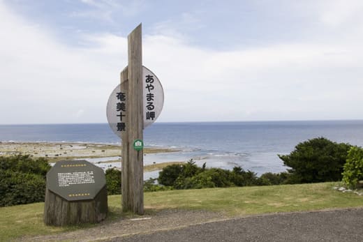 あやまる岬観光公園