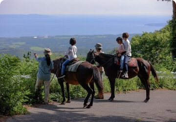 大佐渡山麓で楽しむ乗馬体験