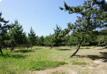 窪田キャンプ場