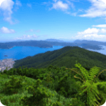 奄美大島