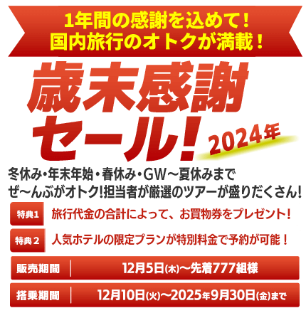 宮古島から名古屋のエアーチケット2枚あり12月1日