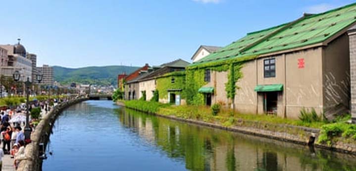 ホテルチョイスプラン！ベストシーズンの北海道グルっと周遊できる！