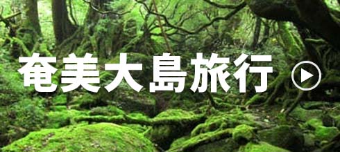 九州特集ページ