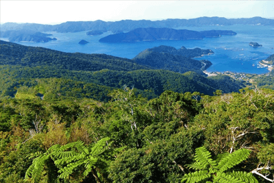 屋久島・奄美大島