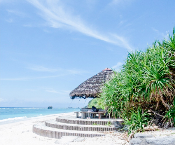 奄美で暮らすように働いてみる。