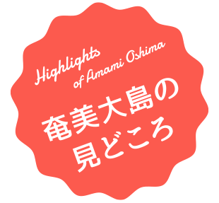 奄美大島の見どころ「ホエールウォッチング」