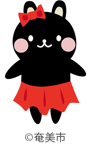 奄美市紬観光課いずみさん